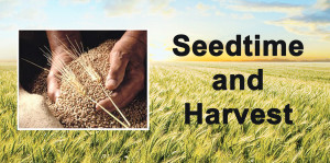 SeedtimeHarvest