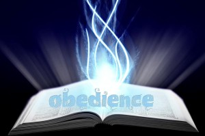 obedience2